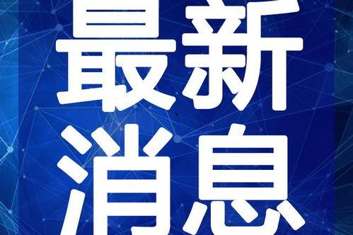 武汉菜价爆料视频最新,涨跌动态大盘点