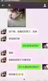 深圳龙哥最新爆料消息,揭秘行业内幕，带你直击真相现场