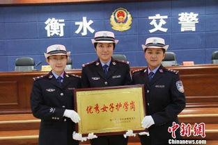 衡水公安最新爆料,揭秘重大案件背后惊人内幕